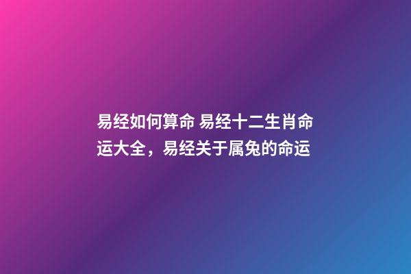 易经如何算命 易经十二生肖命运大全，易经关于属兔的命运-第1张-观点-玄机派